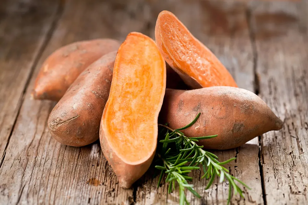 Patate douce près de Verdun-sur-Garonne